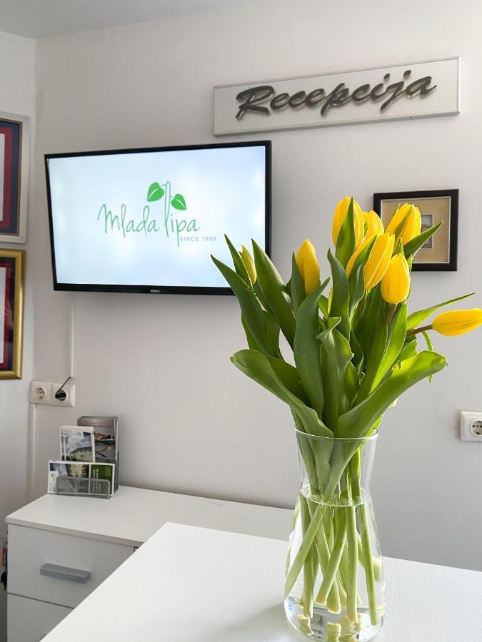 Guest House Mlada Lipa Maribor Exterior photo